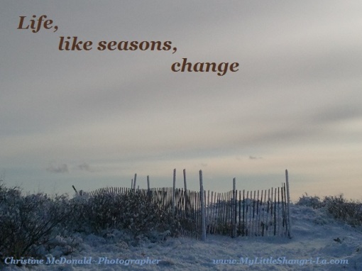 Life-Like-Seasons-Change-2013
